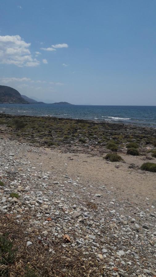 Παραθαλάσσιο Studio Agios Nikolaos  Eksteriør billede